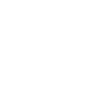 Alternate Text